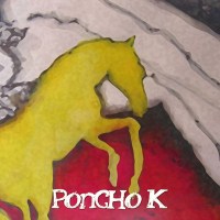 Poncho K Caballo de Oro