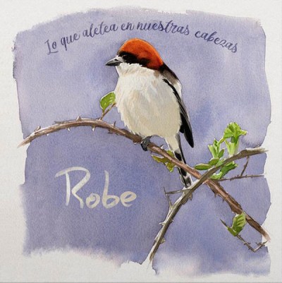 215 Robe Lo Que Aletea En Nuestras Cabezas