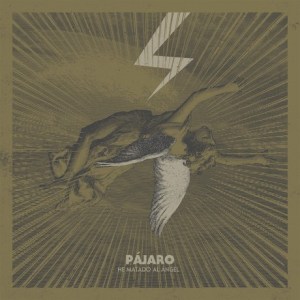 Pajaro He Matado Al Angel