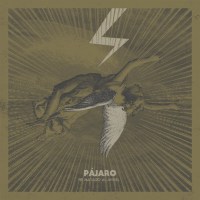 pajaro-he-matado-al-angel